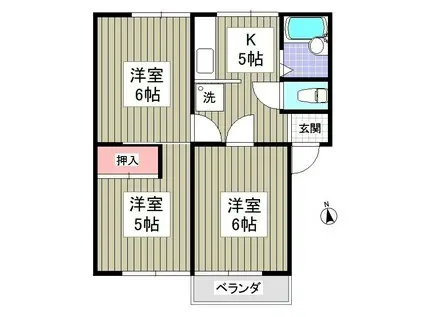 ベルコーポA(3DK/1階)の間取り写真