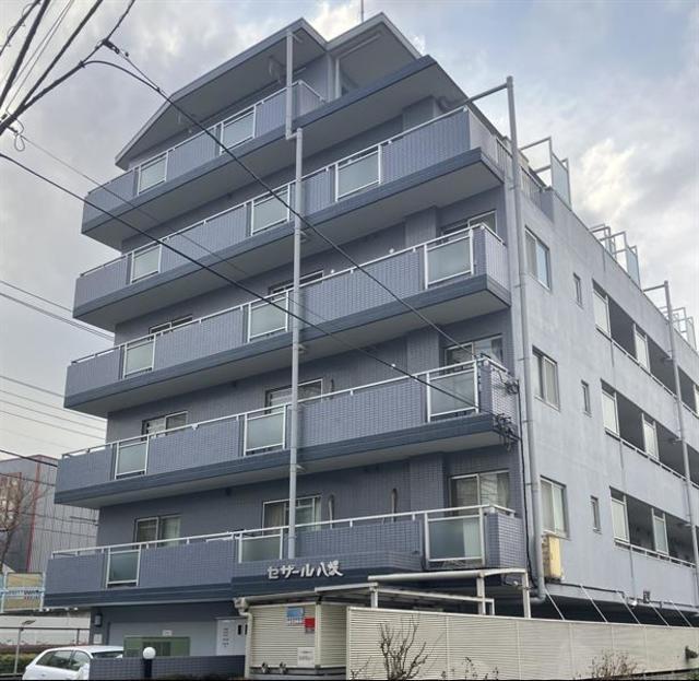 セザール八坂