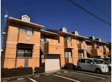 セジュール白菊