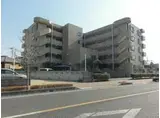 ヴューラー越谷