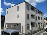 コリーヌ ベルA