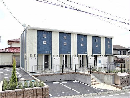 レオネクストシルバーキャット
