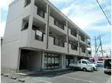 ニューマリッチ斉藤