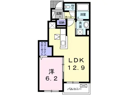カーサレジオⅡ(1LDK/1階)の間取り写真
