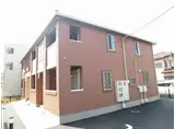 プラシード