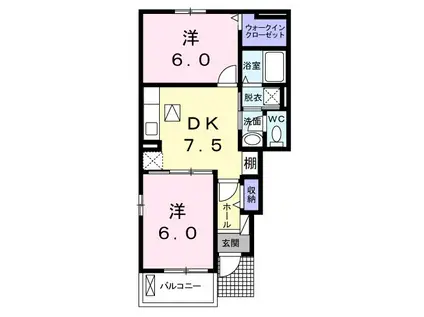 ピアチェーレⅡ(2DK/1階)の間取り写真
