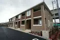 コーンフラワー・N