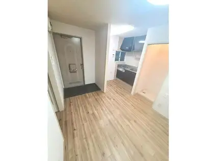 サンハイツ見付(2DK/2階)の居間写真