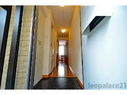 レオパレスボヌール(1K/1階)の玄関写真