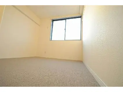 レオパレスCENTURY(2DK/1階)の居間写真