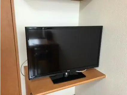 レオパレスこっこま(1K/1階)の居間写真