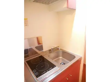 レオパレス楓(1K/2階)のキッチン写真