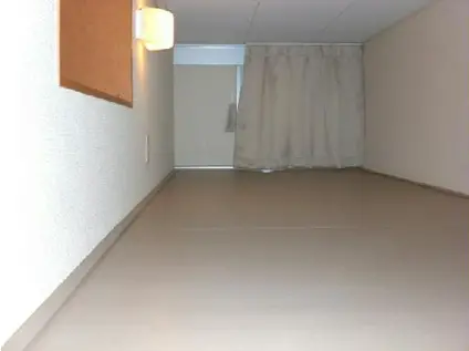 レオパレス雅(1K/2階)の居間写真