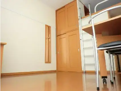 レオパレスウィル(1K/1階)の居間写真