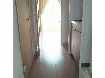 レオパレスLUKIA(1K/2階)の玄関写真