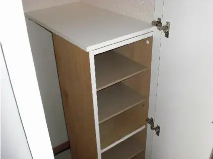 レオパレスウィッシュ(1K/1階)の玄関写真