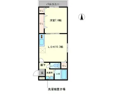 ハイム天神2(1LDK/1階)の間取り写真