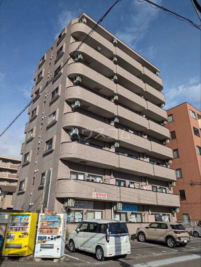 グローバル錦