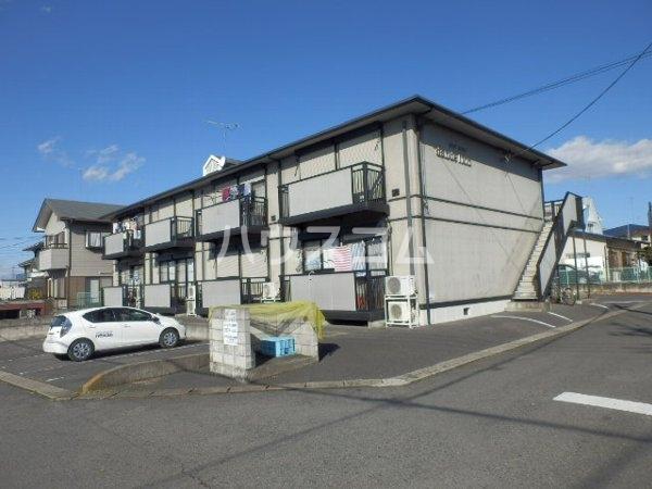 ダンデライオン