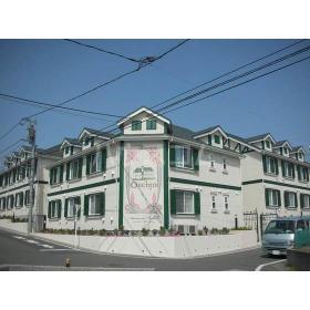 オーキッド