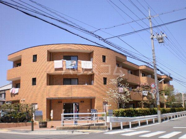 ホルティコルヌス