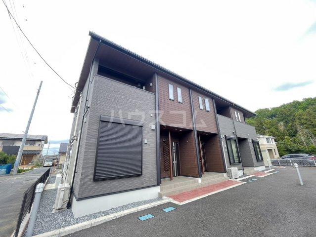 クリスマスローズH