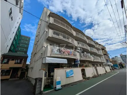 宇都宮第5チサンマンション(2LDK/6階)の外観写真