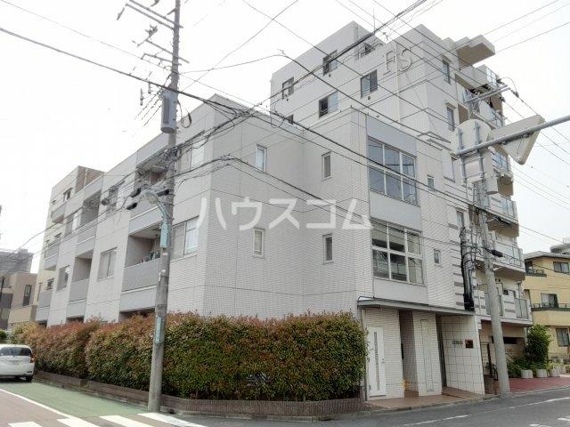 カトゥルス(1LDK/1階)