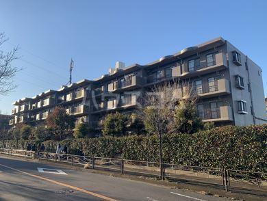 フィール野川B
