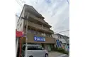 プラムグローブ
