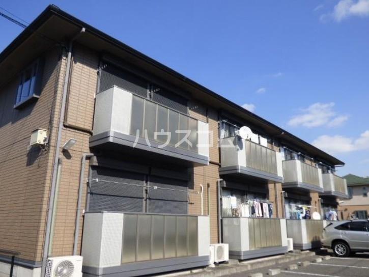 フローラA