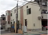 オアシスコイワ