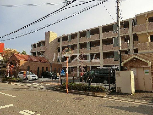 グリシーヌ朝霞