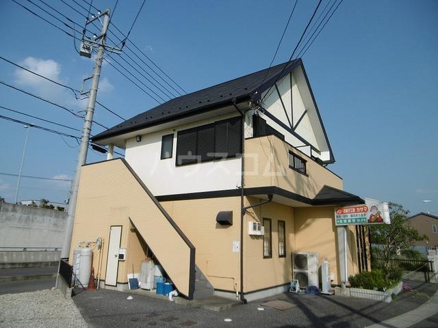 ぶどうの木