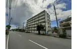 グレース パグーロF