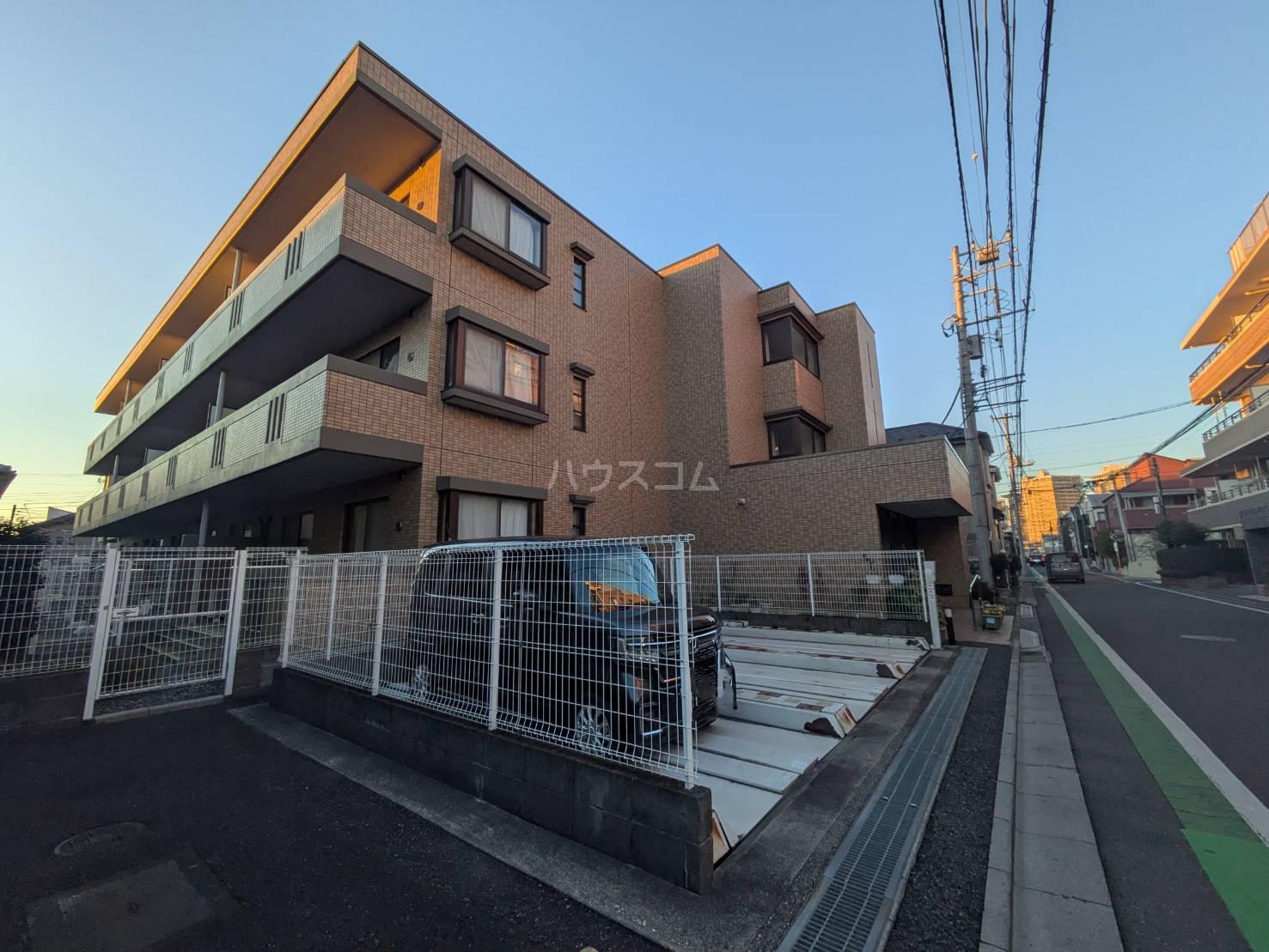 SUN FIELD与野