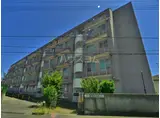 藤代ハイツ