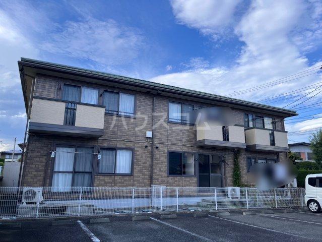 パーシモンフィールドB