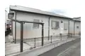 サンライズT