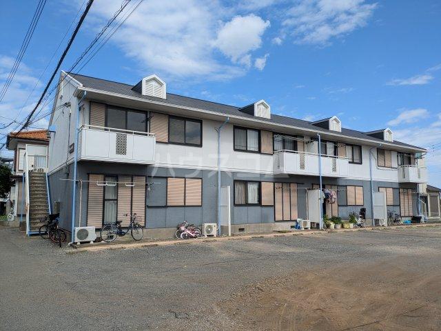サニーヒルカネコ