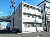 リブリ・馬絹