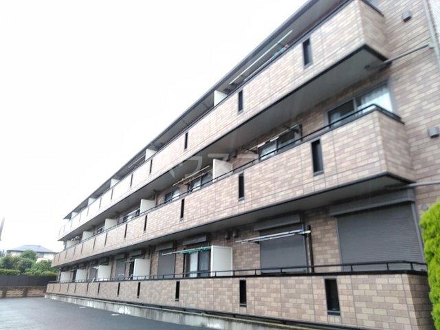 サザンクロス