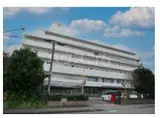 CROTH OMIYA