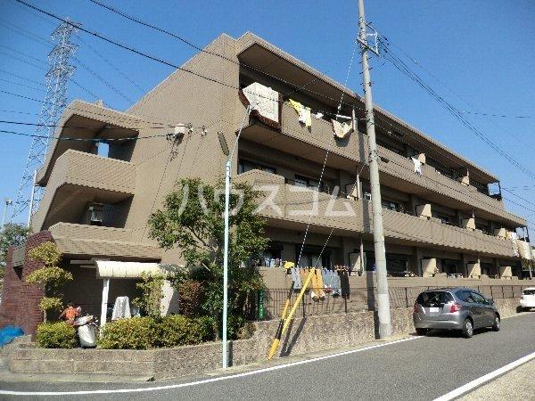 レージュ至来