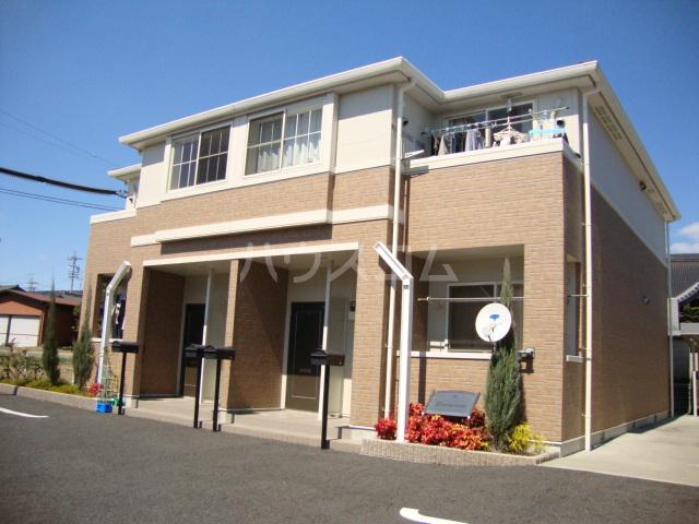 エヴァーグリーン