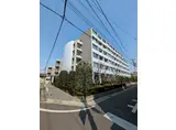 エリセオ