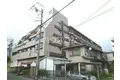 やんぱる大和