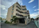 カターラオーシマ