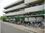 シェルクレールS