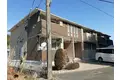 ブルーコスモ